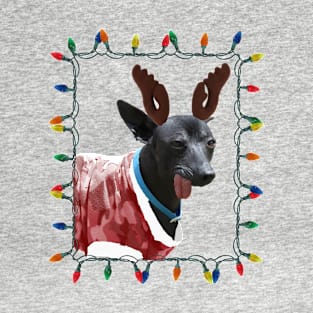 Peruvian Hairless Reindog T-Shirt